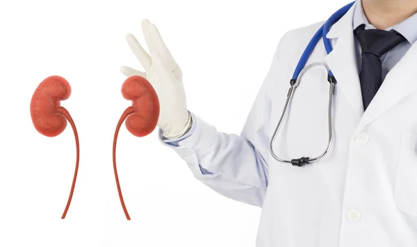 Understanding Kidney Function Tests: RFT, GFR, and Creatinine Levels