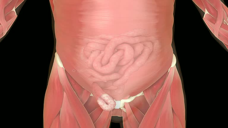 How Inguinal Hernia is Detected and Treated at Livasa Hospital Punjab