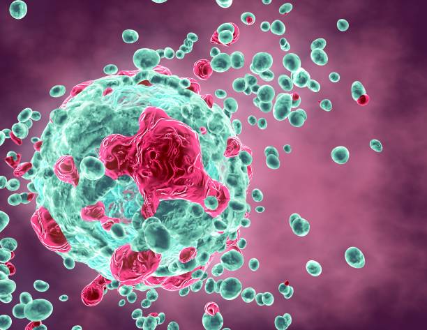 Focused Triple Negative Breast Cancer Care at Livasa Hoshiarpur - Targeted Treatment