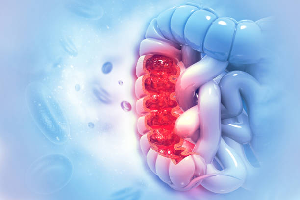 Modern Colon Cancer Blood Testing at Livasa Hoshiarpur - Complete Diagnostic Options