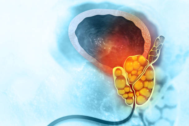 Gallstone Formation During Weight-Reduction Dieting: Risks and Tips for Punjab Residents