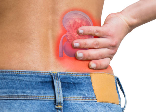 Current Kidney Transplant Techniques at Livasa Hoshiarpur - Modern Surgical Excellence
