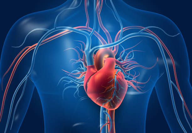 Best Heart Hospital in Amritsar for Angioplasty & Bypass Surgery