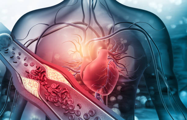 Complete Heart Blockage Testing at Livasa Hoshiarpur - Thorough Cardiac Diagnostics