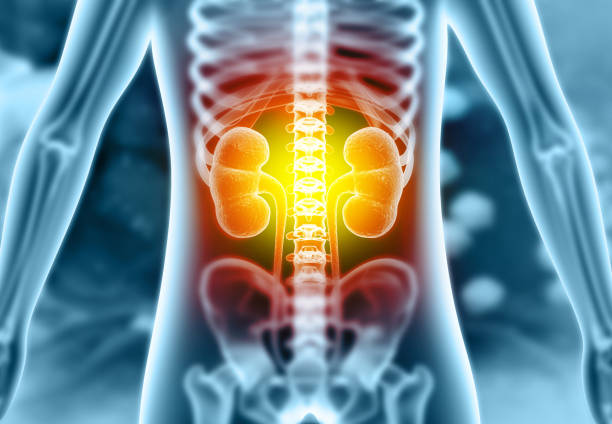 Prompt Kidney Failure Detection at Livasa Hoshiarpur - Complete Warning Signs Assessment