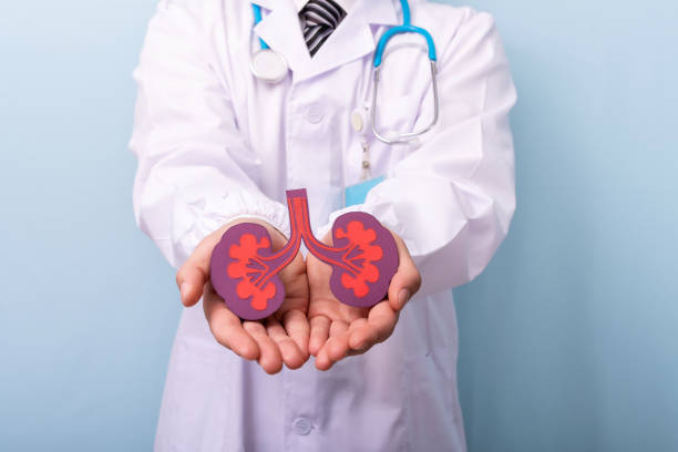 Clear Kidney Transplant Pricing at Livasa Hoshiarpur - Quality Renal Care Value