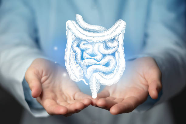 Focused Advanced Colon Cancer Care at Livasa Hoshiarpur - Targeted Final Stage Treatment