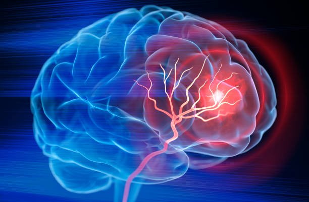 Educational Neurological Consultation at Livasa Nawanshahr - Choosing the Right Brain Specialist