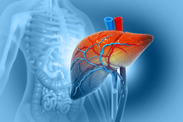 Advanced Liver Imaging at Livasa Amritsar - Precision Cirrhosis Assessment