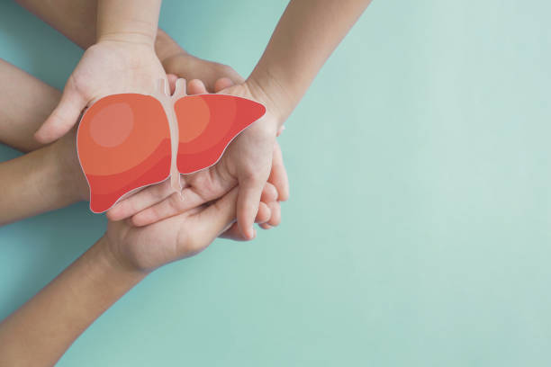Living vs Deceased Donor Transplant at Livasa Mohali - Kidney Options
