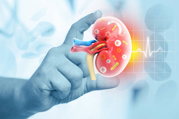 Nutritional Management in Chronic Kidney Failure: Expert Guidelines