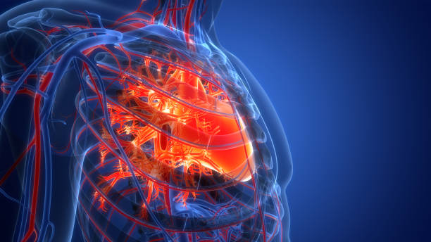 Complete Mitral Regurgitation Treatment at Livasa Hoshiarpur - Total Valve Care
