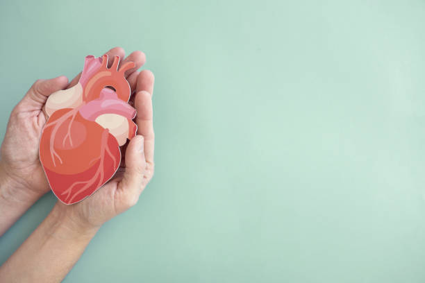 Proactive Heart Blockage Prevention at Livasa Amritsar - Preventive Cardiac Health