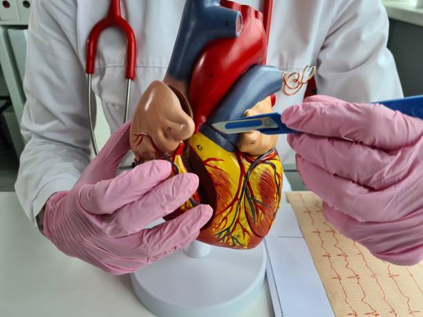 Steady Aortic Stenosis Treatment at Livasa Nawanshahr - Stable Valve Solutions