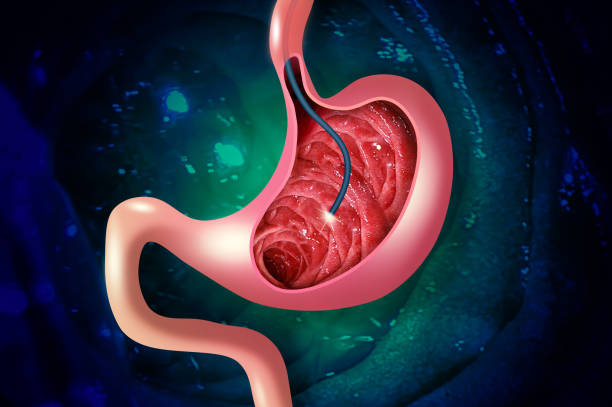 Advanced Heart Endoscopy at Livasa Amritsar - Precision Cardiac Imaging
