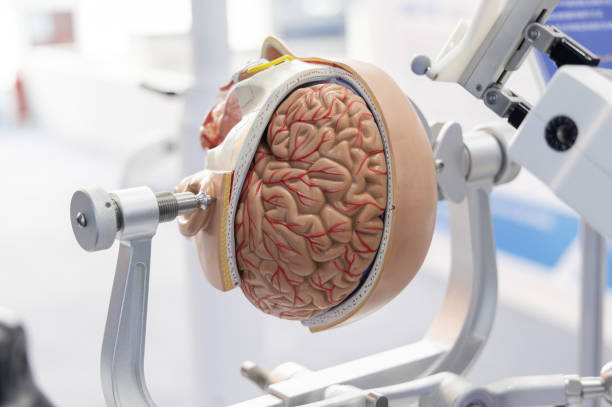 Careful Craniotomy Surgery at Livasa Nawanshahr - Attentive Neurosurgical Team