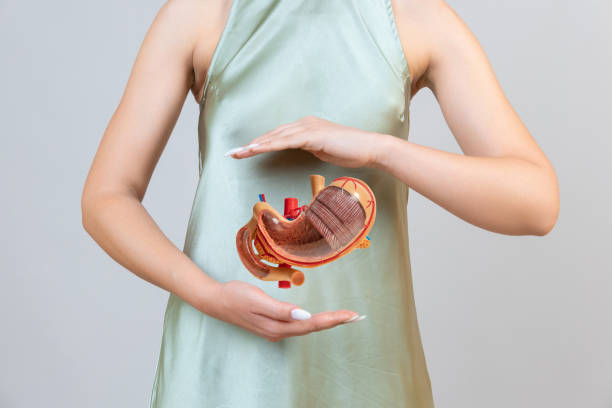 Complete Endocarditis Management at Livasa Hoshiarpur - Total Heart Infection Care