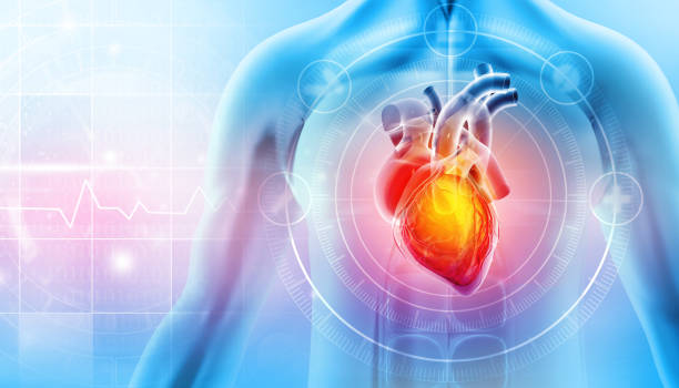Accurate Heart Attack ECG at Livasa Hoshiarpur - Precise Cardiac Diagnosis