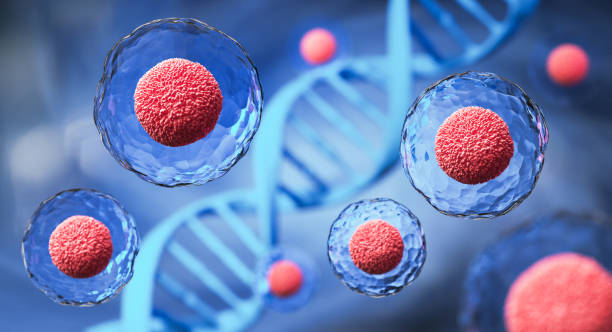 Focused Stem Cell Transplant for Leukemia at Livasa Hoshiarpur - Targeted Cancer Treatment