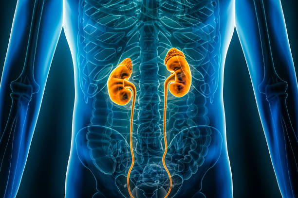 Progressive Kidney Failure Treatment at Livasa Hoshiarpur - Beyond Traditional Dialysis
