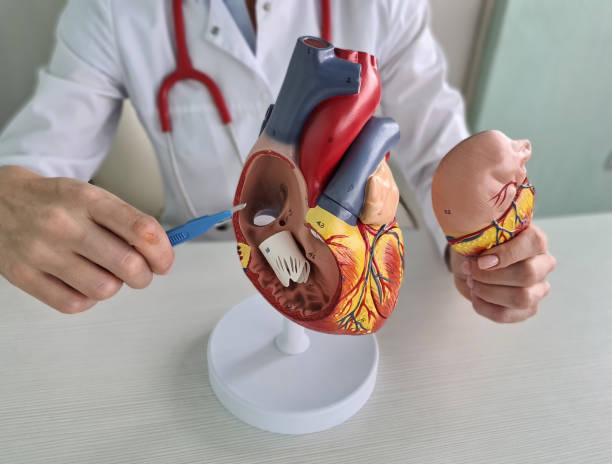 Stable Heart Surgery Results at Livasa Nawanshahr - Steady Cardiac Excellence