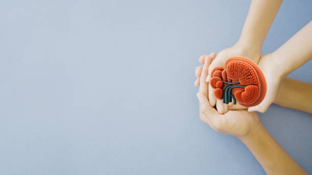 Post-Kidney Transplant Care at Livasa Mohali - Recovery Management
