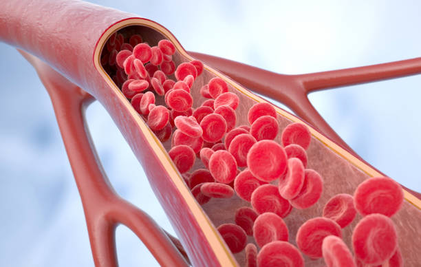 Gentle Single Vessel Disease Treatment at Livasa Nawanshahr - Caring Heart Care