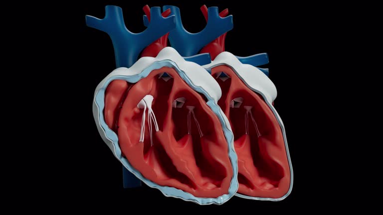 Focused Pericarditis Treatment at Livasa Hoshiarpur - Targeted Heart Inflammation Care