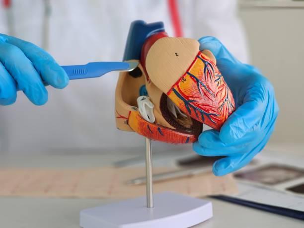 Steady Heart Valve Replacement at Livasa Nawanshahr - Stable Cardiac Surgery