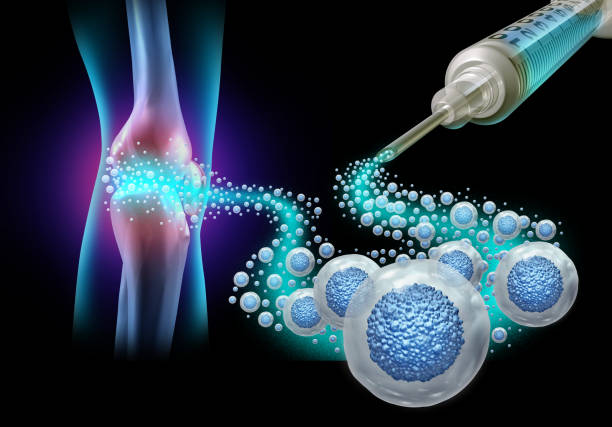 Comprehensive BMT Options at Livasa Amritsar - Complete Transplant Solutions