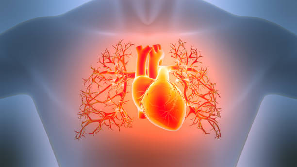 Detailed Mitral Regurgitation Treatment at Livasa Nawanshahr - Comprehensive Valve Care