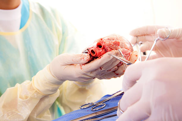 Advanced Minimally Invasive Heart Surgery at Livasa Amritsar - Modern Cardiac Techniques
