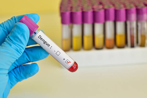 Dengue Test Packages in Amritsar: NS1, IgM, IgG & Pricing