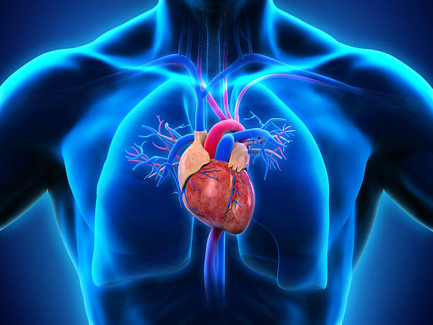 Focused Triple Vessel Disease Care at Livasa Hoshiarpur - Complex Cardiac Surgery