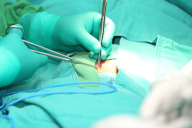 Careful Mitral Valve Surgery at Livasa Nawanshahr - Gentle Cardiac Procedures