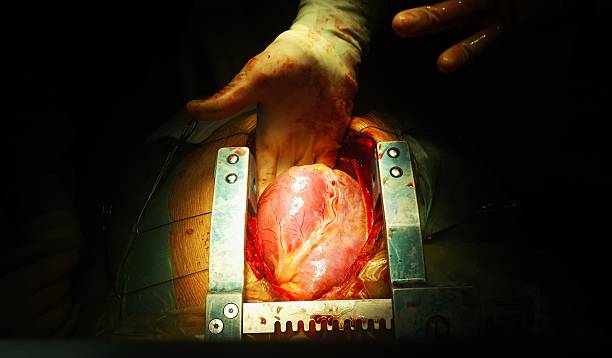 Careful Off-Pump Heart Surgery at Livasa Nawanshahr - Gentle Cardiac Techniques