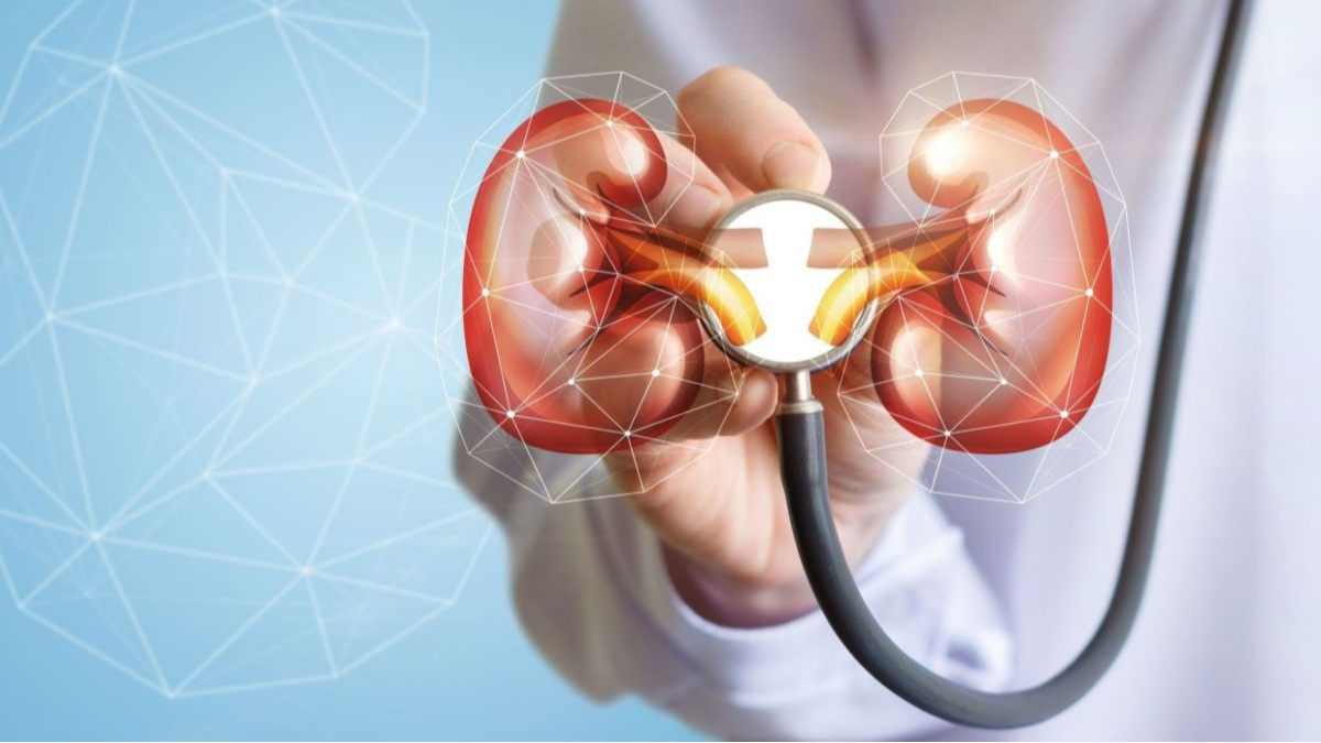 Advanced Nephrology Medications at Livasa Mohali - CKD Treatment