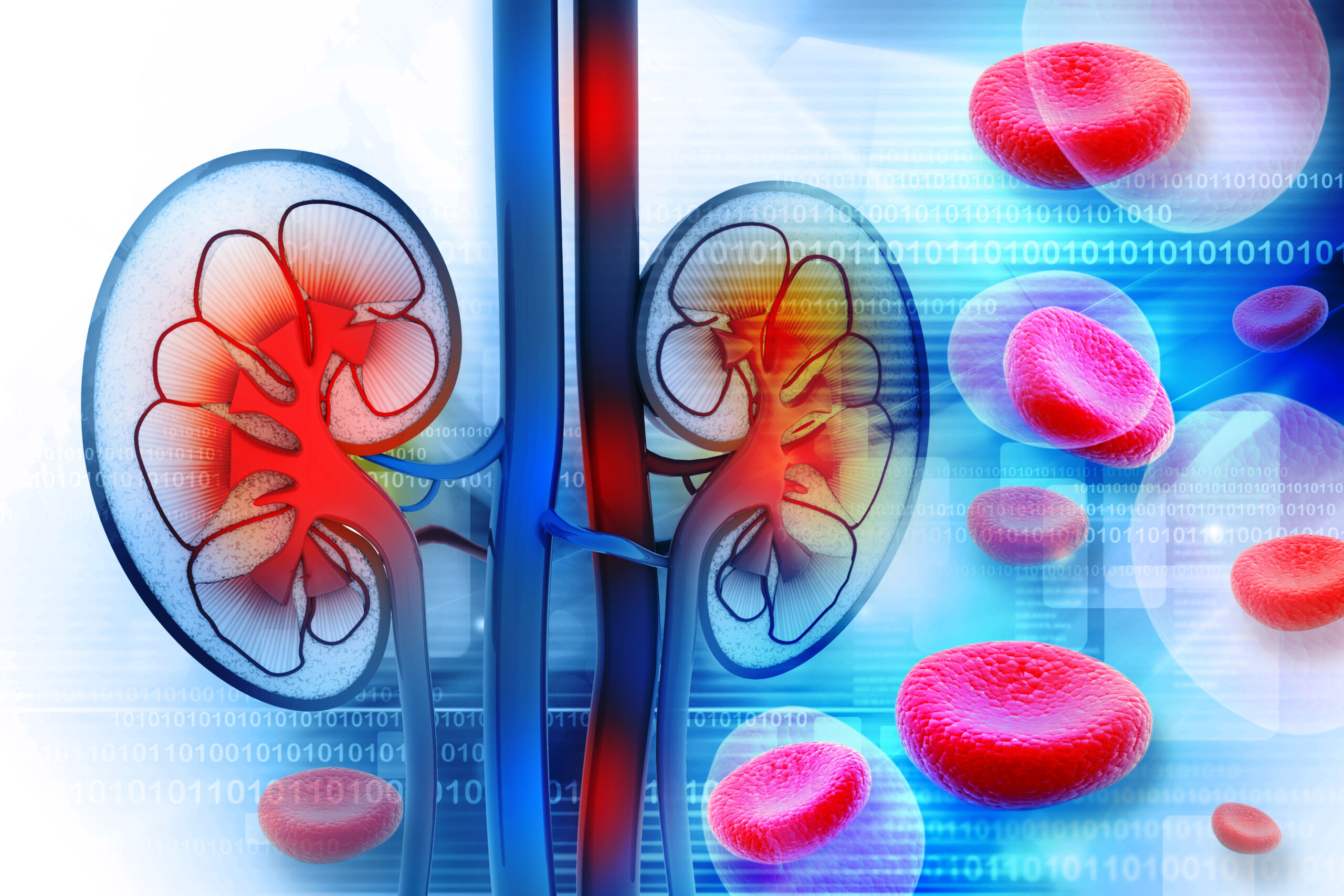 ABO-Incompatible Transplant at Livasa Mohali - Advanced Techniques